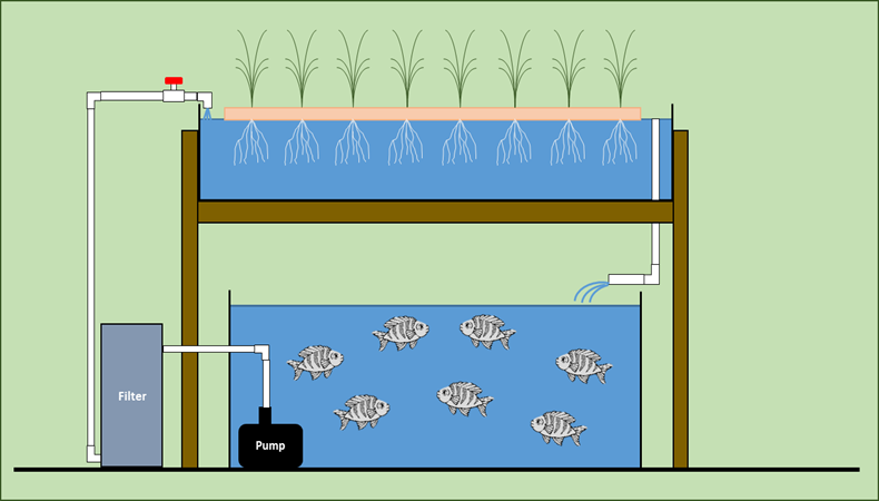 diagram-of-a-deep-water-system-with-plants-suspend.png
